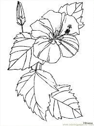 5 artfully beautiful daffodils coloring pages. Flower Coloring Pages Hibiscus Coloring Page For Kids Free Flowers Printable Coloring Pages Online For Kids Coloringpages101 Com Coloring Pages For Kids