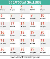 30 Day Squat Challenge Fitness Challenges 30 Day Workout