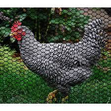 Black Poultry Hex Garden Fence Netting