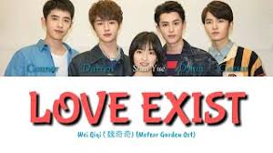 love exist wei qiqi 魏奇奇 meteor