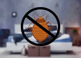 21 ways to prevent bed bugs from