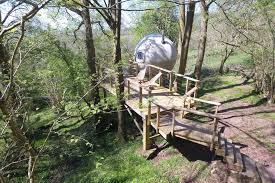 Completed in 2000, this structure is. Oak Apple Tree Tent Canopy Stars