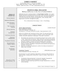 Education Consultant Resume Example