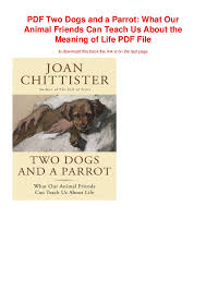 Pdf Two Dogs And A Parrot What Our Animal Friends Can Teach