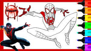 He is the second spider man to appear in ultimate marvel an imprint with a separate continuity from the mainstream marvel universe. Miles Morales Spider Man Into The Spider Verse Coloring Pages Youtube