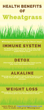 the benefits of wheatgr