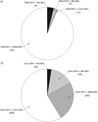 Pie Charts Representing How The Bal Classes Stratiform