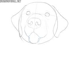 *free* shipping on qualifying offers. How To Draw A Dog Face