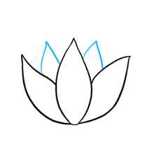 Falando dos desenhos especificamente, podemos encontrar figuras simples, com apenas uma flor com suas pétalas, flores com espinhos, flores em jarros ou em outros recipientes, em jardins. Como Desenhar Flor De Lotus 2021 Passo A Passo Com Video Gratis