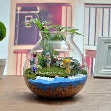 Miniature Garden Plant Gifts