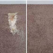 1 carpet repair sydney let s save