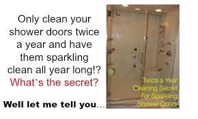 Cleaning Secret For Sparkling Shower Doors