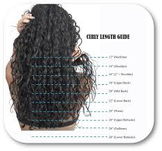 Texture Length Chart Argia Hair