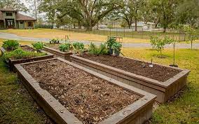 Raised Garden Beds Why You Ll Want