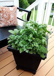 Tips For Planting A Container Herb Garden
