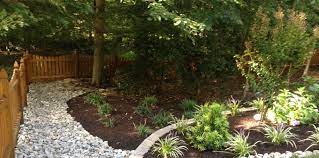 low maintenance backyard landscaping
