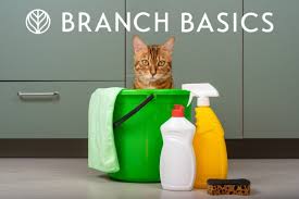 branch basics 2023 review cleaning