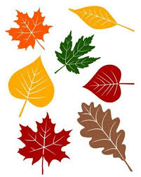 Осінні листочки малюнки Шаблони листочків для вирізання