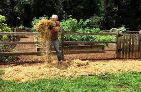 Easy No Dig Gardening Get Better Soil