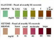 Diabetes In Dogs Wikipedia