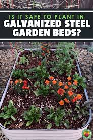 are galvanized steel garden beds safe