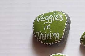 Funny Sayings Painted Rocks Garden