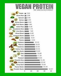 Plant Based Protein Chart Great Information Veganprotein