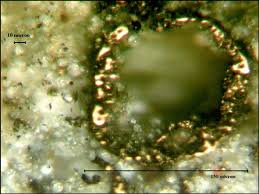Petrographic Image Of A Sand Size Carbon Particle Surrounded