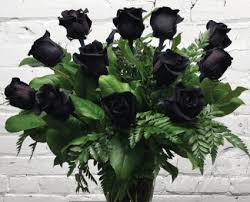 black roses roses in trumann ar
