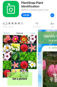 You send in a picture of a flower and an expert tells you. 4 Best Apps To Help Identify Plants And Trees