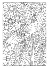 I will be coloring the dragonfly from enchanted forest coloring book by using prismacolor premier colored woodcase pencils. Creative Haven Entangled Dragonflies Coloring Book Adult Coloring Porter Dr Angela 9780486805689 Amazon Com Books