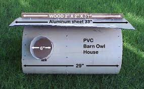 Pvc Barn Owl House Petdiys Com