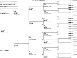 Printable Pedigree Chart Family Search Www