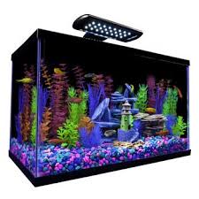 Glofish 10 Gallon Aquarium Kit 20x10x12