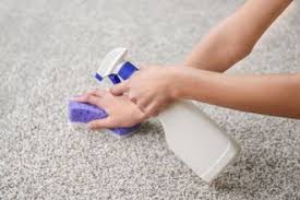 aahs carpet upholstery cleaning top
