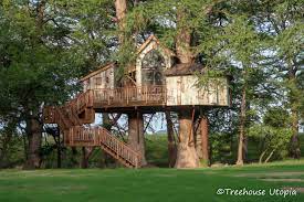 treehouse utopia renew refresh relax