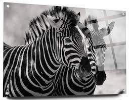 Black And White Wall Art Zebra In The