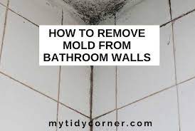 How To Remove Mold From Bathroom Walls