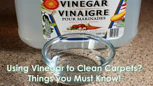 using vinegar to clean carpets things