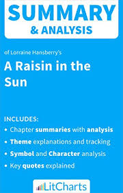 Amazon Com Summary Analysis Of A Raisin In The Sun By