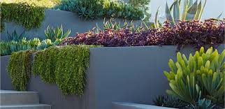 2021 Trend Forecast For Gardens In