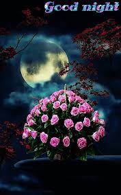 NIGHTY NIGHT...♡♥♡ | Good night flowers, Good night love images, Good night  images hd