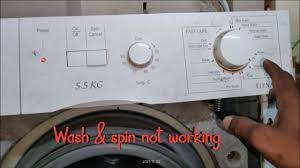 ifb elina dx washing machine wash