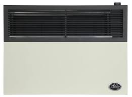 Direct Vent Natural Gas Wall Heater