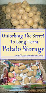 Potato Storage Options Texas