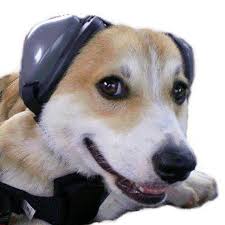 Mutt Muffs Dog Hearing Protection