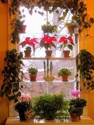 How To Design A Window Garden Gallery
