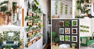 20 modern wall decor ideas with plants