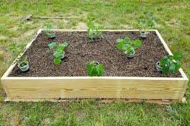 Plant A Raised Bed Vegetable Garden