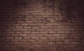 Old Brick Wall With Shadow Texture